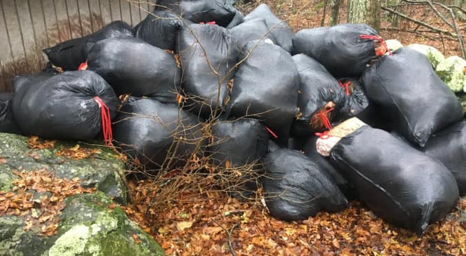 pile-of-black-bags-full-of-trash-for-junk-pickup-in-riverside_orig