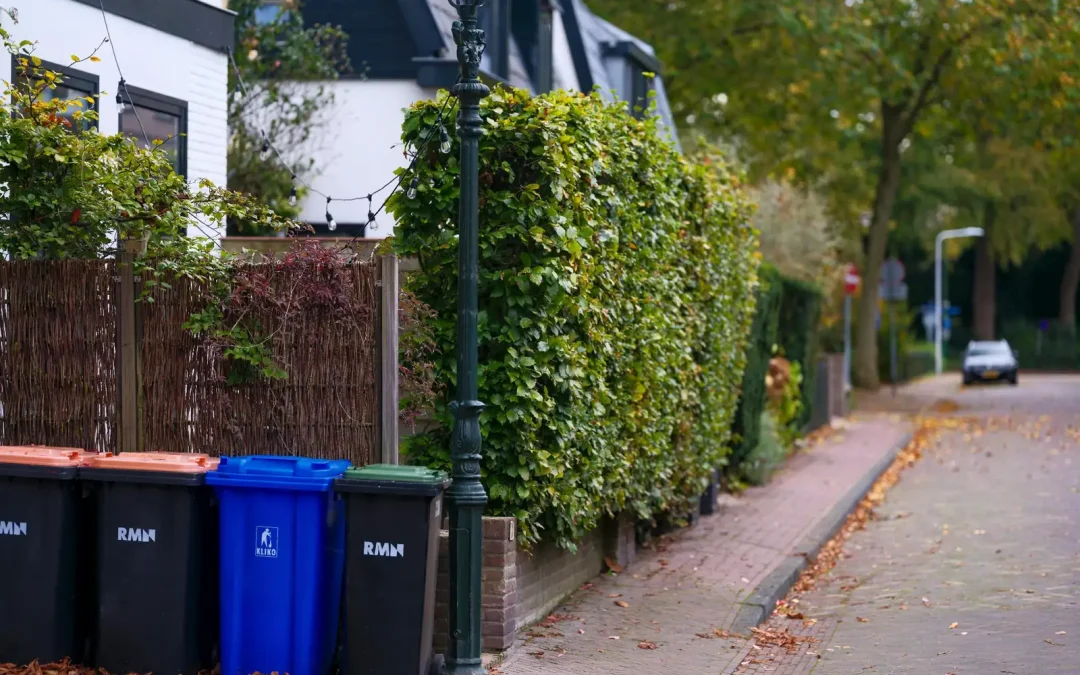 Do You Tip Junk Haulers? Cost, Etiquette, and Simple Tipping Guide